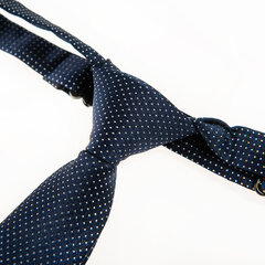 Cool Club галстук для мальчиков CAB2038790-P цена и информация | Аксессуары для детей  | 220.lv