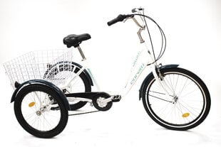 Trīsriteņu velosipēds Corelli Kanguroo 24", balts/zils цена и информация | Велосипеды | 220.lv