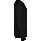 Vīriešu džemperis ANNAPURNA, melns cena un informācija | Vīriešu jakas | 220.lv