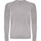 Vīriešu džemperis ANNAPURNA, pelēks цена и информация | Vīriešu jakas | 220.lv