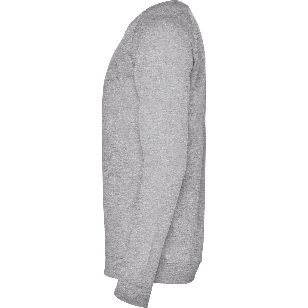 Vīriešu džemperis ANNAPURNA, pelēks cena un informācija | Vīriešu jakas | 220.lv
