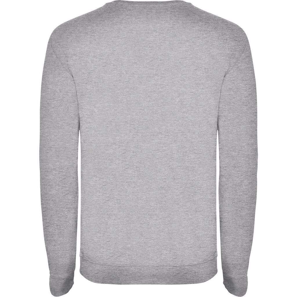 Vīriešu džemperis ANNAPURNA, pelēks цена и информация | Vīriešu jakas | 220.lv