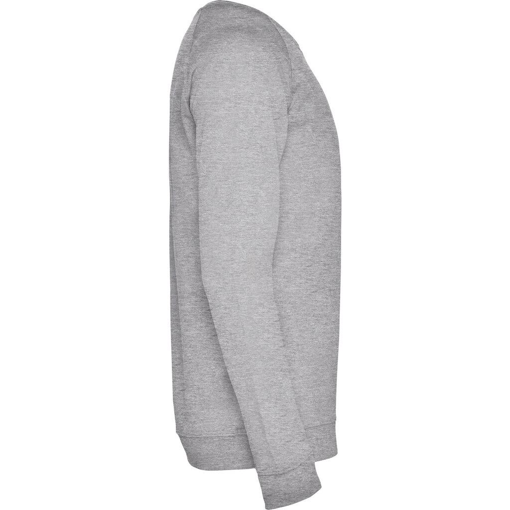 Vīriešu džemperis ANNAPURNA, pelēks cena un informācija | Vīriešu jakas | 220.lv