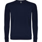 Vīriešu džemperis ANNAPURNA, tumši zils cena un informācija | Vīriešu jakas | 220.lv