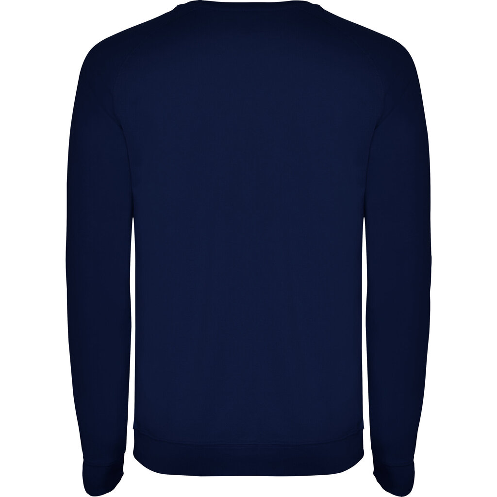 Vīriešu džemperis ANNAPURNA, tumši zils cena un informācija | Vīriešu jakas | 220.lv