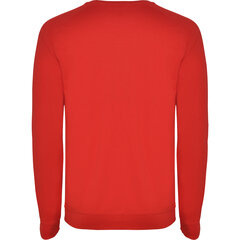 Vīriešu džemperis ANNAPURNA, sarkans cena un informācija | Vīriešu jakas | 220.lv