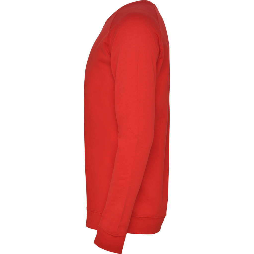 Vīriešu džemperis ANNAPURNA, sarkans цена и информация | Vīriešu jakas | 220.lv