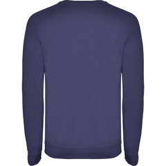 Vīriešu džemperis ANNAPURNA, tumši violets cena un informācija | Vīriešu jakas | 220.lv