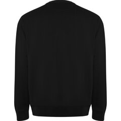 Vīriešu džemperis BATIAN, melns cena un informācija | Vīriešu jakas | 220.lv