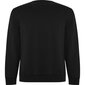Vīriešu džemperis BATIAN, melns cena un informācija | Vīriešu jakas | 220.lv