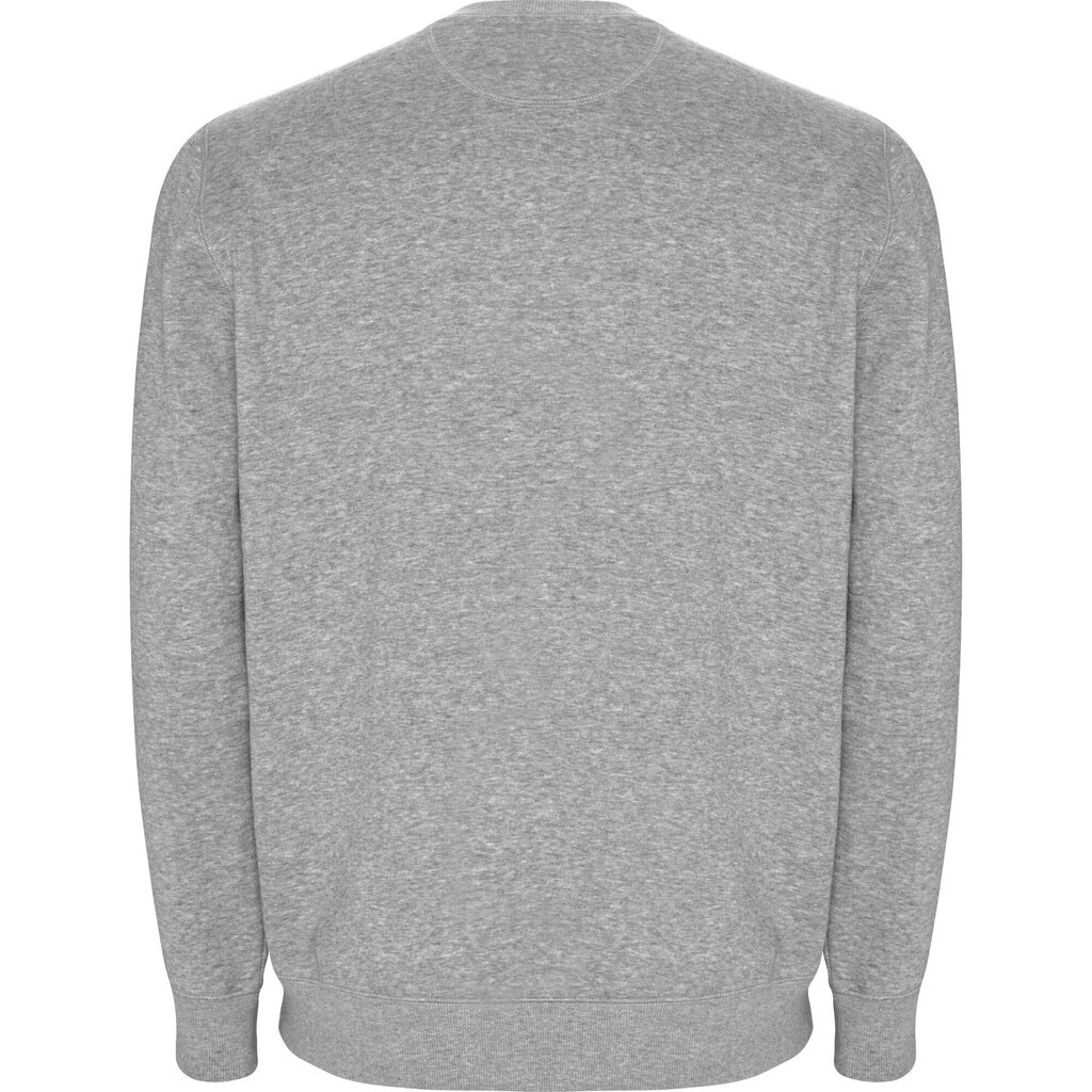 Vīriešu džemperis BATIAN, pelēks cena un informācija | Vīriešu jakas | 220.lv