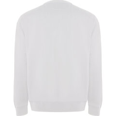 Vīriešu džemperis BATIAN, balts cena un informācija | Vīriešu jakas | 220.lv