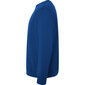 Vīriešu džemperis BATIAN, zils цена и информация | Vīriešu jakas | 220.lv