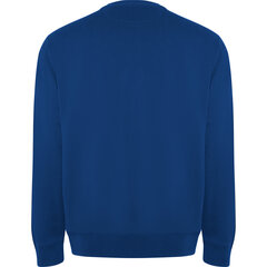 Vīriešu džemperis BATIAN, zils cena un informācija | Vīriešu jakas | 220.lv