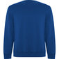 Vīriešu džemperis BATIAN, zils цена и информация | Vīriešu jakas | 220.lv