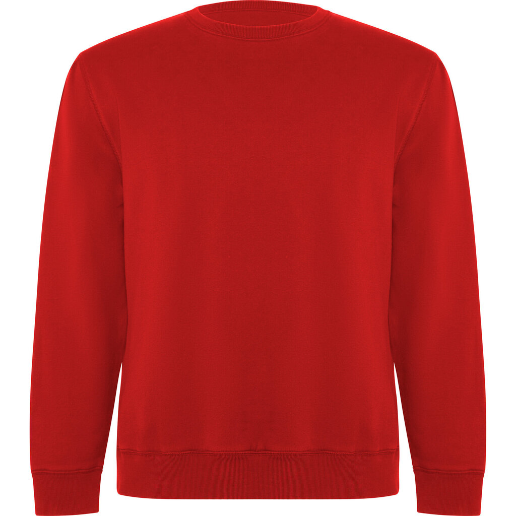 Vīriešu džemperis BATIAN, sarkans cena un informācija | Vīriešu jakas | 220.lv
