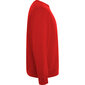 Vīriešu džemperis BATIAN, sarkans cena un informācija | Vīriešu jakas | 220.lv
