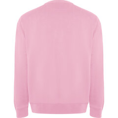 Vīriešu džemperis BATIAN, gaiši rozā цена и информация | Мужские толстовки | 220.lv