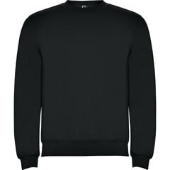 Vīriešu džemperis CLASICA, melns cena un informācija | Vīriešu jakas | 220.lv