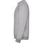 Vīriešu džemperis CLASICA, pelēks цена и информация | Vīriešu jakas | 220.lv