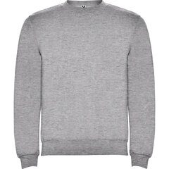 Vīriešu džemperis CLASICA, pelēks cena un informācija | Vīriešu jakas | 220.lv