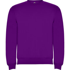 Vīriešu džemperis CLASICA, violets cena un informācija | Vīriešu jakas | 220.lv