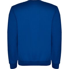 Vīriešu džemperis CLASICA, zils cena un informācija | Vīriešu jakas | 220.lv