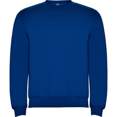 Vīriešu džemperis CLASICA, zils cena un informācija | Vīriešu jakas | 220.lv