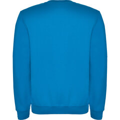 Vīriešu džemperis CLASICA, gaiši zils cena un informācija | Vīriešu jakas | 220.lv