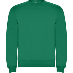 Vīriešu džemperis CLASICA, zaļš cena un informācija | Vīriešu jakas | 220.lv