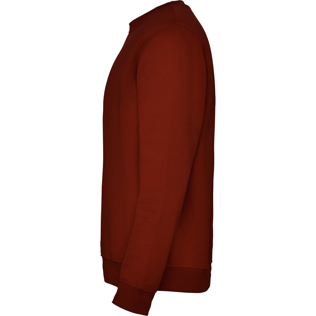 Vīriešu džemperis CLASICA, bordo cena un informācija | Vīriešu jakas | 220.lv