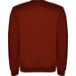 Vīriešu džemperis CLASICA, bordo cena un informācija | Vīriešu jakas | 220.lv