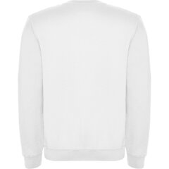Vīriešu džemperis CLASICA, balts cena un informācija | Vīriešu jakas | 220.lv