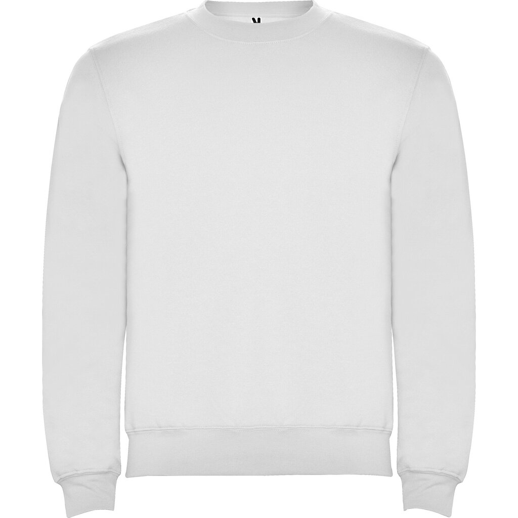 Vīriešu džemperis CLASICA, balts cena un informācija | Vīriešu jakas | 220.lv