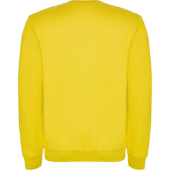 Vīriešu džemperis CLASICA, dzeltens cena un informācija | Vīriešu jakas | 220.lv