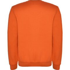 Vīriešu džemperis CLASICA, oranžs cena un informācija | Vīriešu jakas | 220.lv