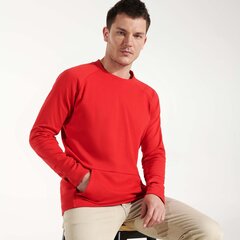 Vīriešu džemperis MANA, sarkans cena un informācija | Vīriešu jakas | 220.lv