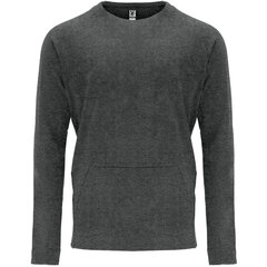 Vīriešu džemperis MANA, tumši pelēks cena un informācija | Vīriešu jakas | 220.lv
