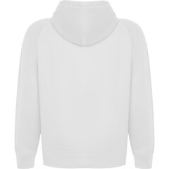 Vīriešu džemperis VINSON, balts cena un informācija | Vīriešu jakas | 220.lv