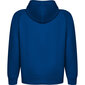 Vīriešu džemperis VINSON, zils cena un informācija | Vīriešu jakas | 220.lv