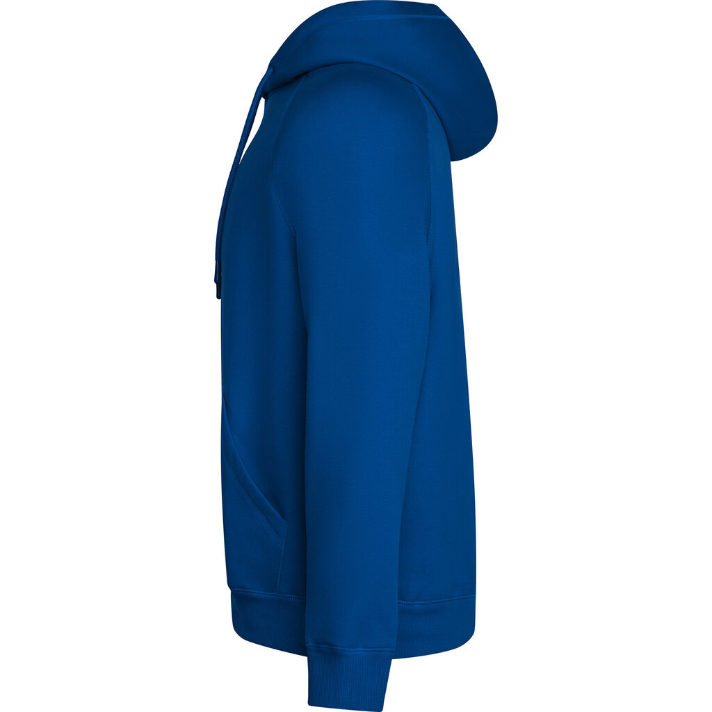 Vīriešu džemperis VINSON, zils cena un informācija | Vīriešu jakas | 220.lv