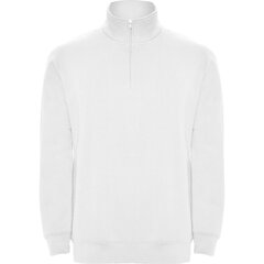 Vīriešu džemperis ANETO, balts cena un informācija | Vīriešu jakas | 220.lv
