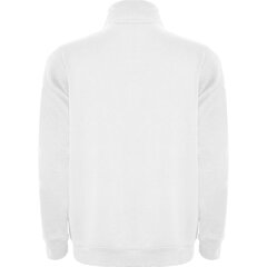Мужской свитер ANETO, белый цена и информация | Мужские толстовки | 220.lv