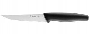 Нож для стейка Ambition Aspiro, 11,5 см цена и информация | Ножи и аксессуары для них | 220.lv