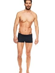 Плавки мужские Henderson цена и информация | Плавки, плавательные шорты | 220.lv