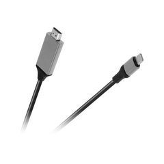 Kabelis, HDMI x USB C, 2 m cena un informācija | Kabeļi un vadi | 220.lv