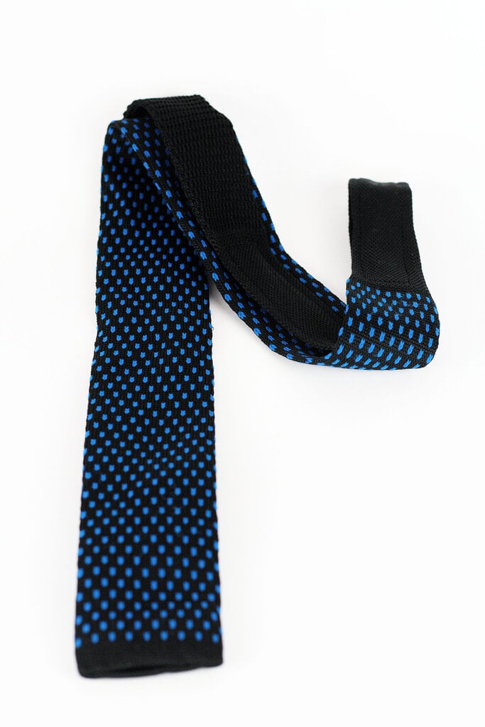 Trikotāžas kaklasaite цена и информация | Kaklasaites, tauriņi | 220.lv