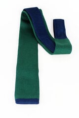 Trikotāžas kaklasaite cena un informācija | Kaklasaites, tauriņi | 220.lv