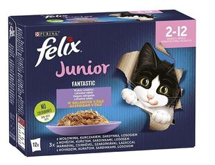 Felix Fantastic liellopa, vistas, sardīņu, laša garša, 12x85 g цена и информация | Консервы для котов | 220.lv