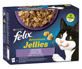 Felix Sensations Jellies dažādas garšas, 12x85 g cena un informācija | Konservi kaķiem | 220.lv